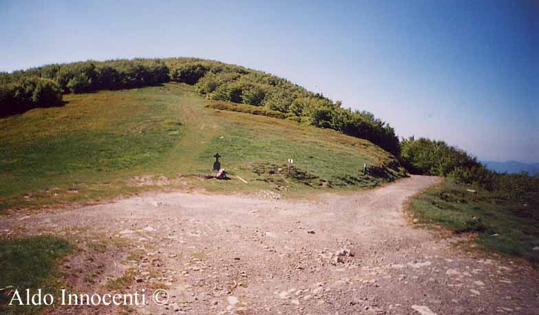 BASSA DEL SALTELLO